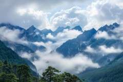 英雄联盟手游季中嘉年华黄山破界登峰：双败淘汰制引爆全球巅峰对决